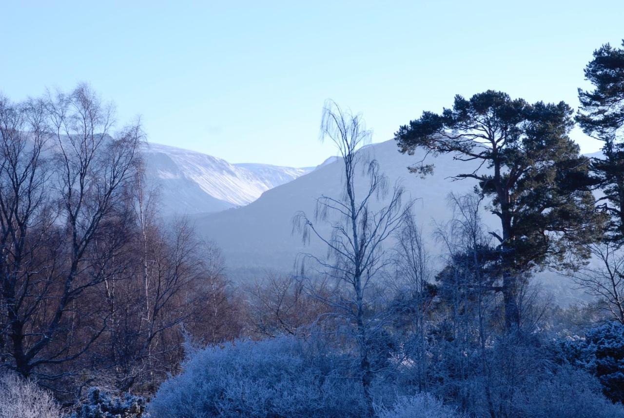 Ravenscraig Guest House Aviemore Kültér fotó